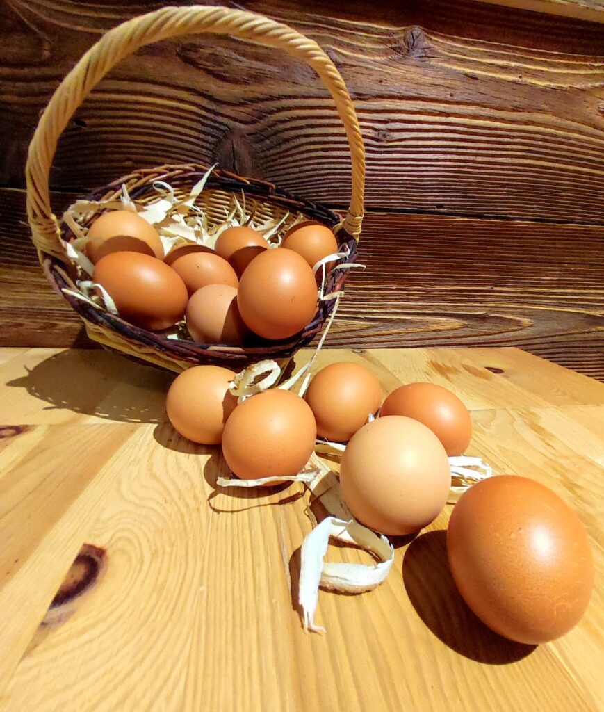 regionale-produkte.online, Hühner, Eier