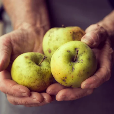 optim-organic-golden-delicious-2023-11-27-04-57-40-utc
